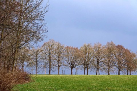 Alley and approaching weather front, spring, Germany