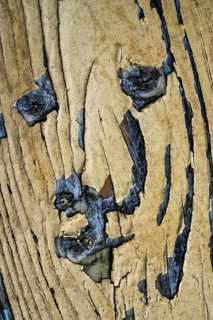 Old wood planks, looks like a face