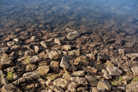 Shoreline of Weser River near Oberweser, Upper Weser Valley, Weser Uplands, Weserbergland, Hesse,