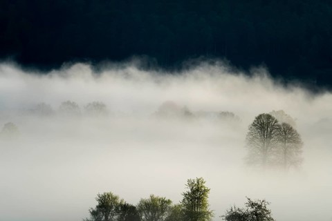 Foggy landscape, near Oberweser, Weser Uplands, Weserbergland, Hesse, Germany