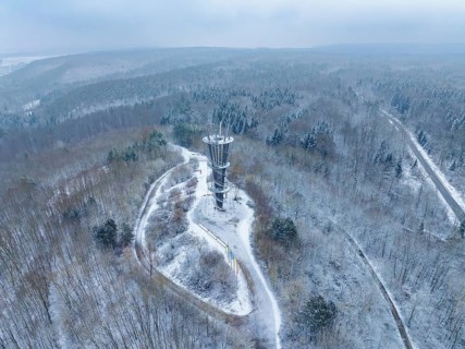 Winter forest with high tower and winding paths, Schönbuchturm, Herrenberg, Germany