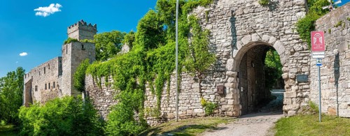 The ruins of Eckartsburg Castle on the Romanesque Road, Eckartsberga, Saxony-Anhalt, Germany