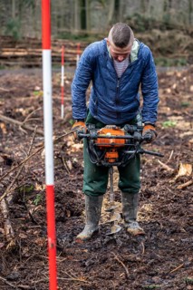 Reforestation in the Arnsberg Forest near Rüthen-Nettelstädt, Soest district, forestry workers