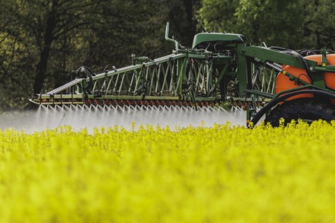A tractor with trailer field sprayer in a rapeseed field, photographed in Waldhufen, 12/04/2024