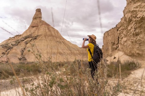 Horizontal photo with copy space of a woman using binoculars to observe wildlife in a national park