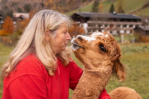 An elderly woman lovingly interacts with a brown alpaca in the lush countryside of Austria,