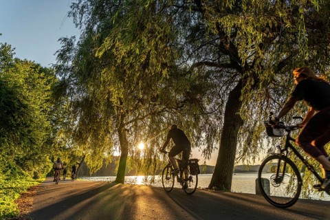 Cycling on Lake Baldeney, around 14 kilometres around the Ruhr reservoir, summer evening on the