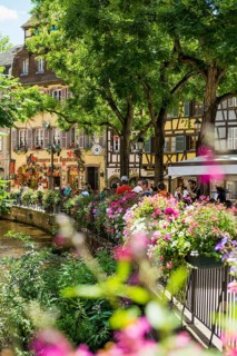 Half-timbered houses and restaurants in the old town, Colmar, Alsace, Bas-Rhin, France