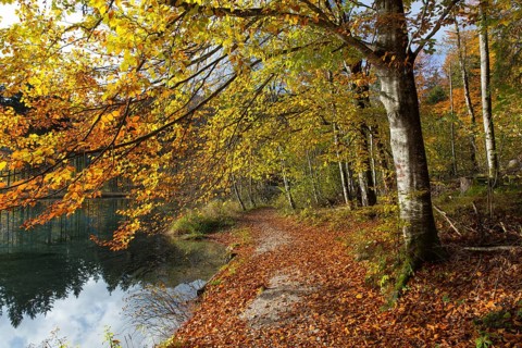 Autumn mood at lake Almsee, Grünau, Austria, Totes Gebirge