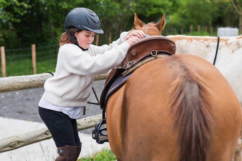 A young girl wearing a helmet prepares her horse for riding on a sunny farm day, showcasing her