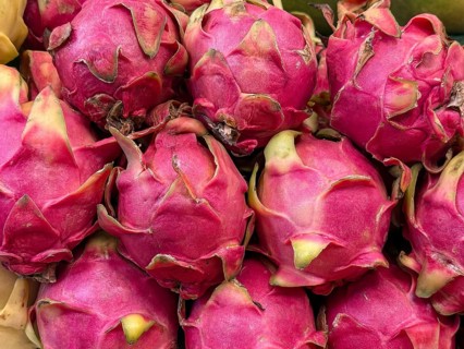 A close-up image of fresh dragon fruits with vivid pink skins and green scales, stacked together in