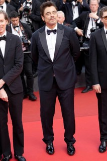 Cannes, France - 18.5.2024: Wes Anderson and Benicio del Toro on the red carpet during the 78th