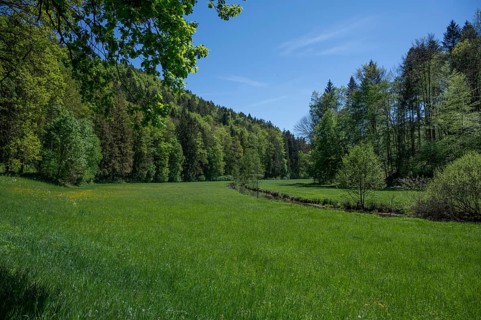 Spring landscape in the Auseß valley, on the right the river Auseß, Doos, Upper Franconia, Bavaria,
