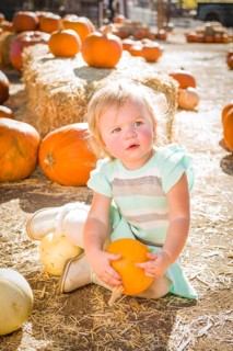 Adorable Baby Girl Having Fun in a Rustic Ranch Setting at the Pumpkin Patch