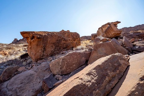 Depictions of animals on a rock slab, lion slab, petroglyphs, rock engravings, Twyfelfontein,