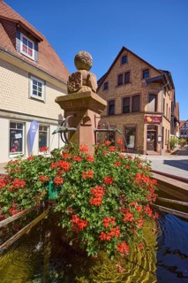 Running fountain with blooming geraniums and sports shop in Michelstadt, Odenwald, Odenwaldkreis,