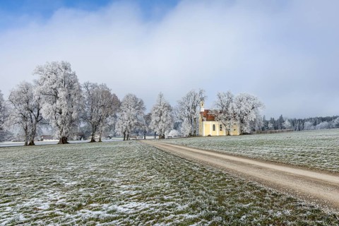 A path leads to a small church along frosty trees, Maria Schnee Chapel, Nassenbeuren, Unterallgäu,