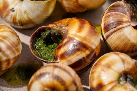 This image showcases a close-up of baked escargots, each filled with a rich, green parsley butter,