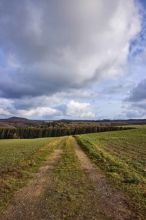 Agriculture, fields, hilly landscape, coniferous forest, landscape, landscape photography, blue