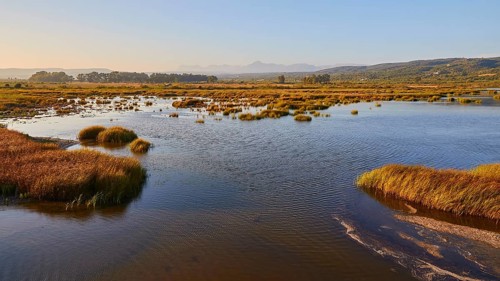 View over a vast water area surrounded by grasses under the morning sun, Gialova lagoon, protected