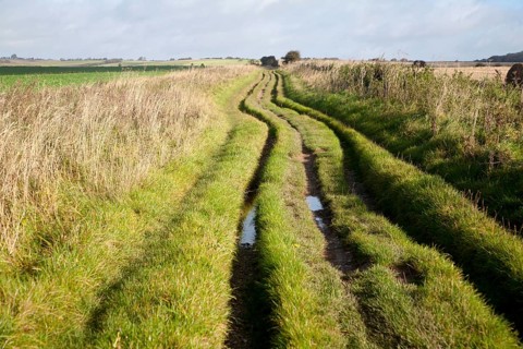 The Ridgeway long distance footpath dating from prehistory near its start on Overton Hill,