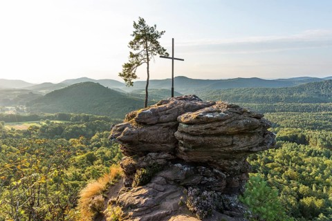 Sandstone rock with pine tree and summit cross, Rötzenfelsen, sunrise, Gossersweiler-Stein,