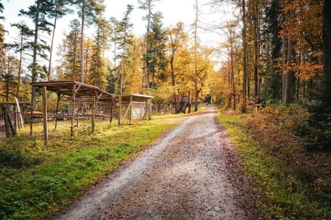 A simple path through a rural scenery with fences and foliage, Calw, Black Forest, Germany