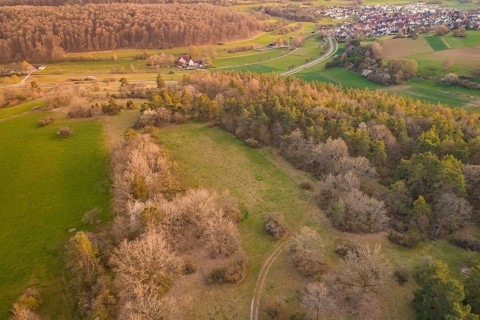 View of an idyllic landscape with forest, open fields and a distant village in golden evening sun,