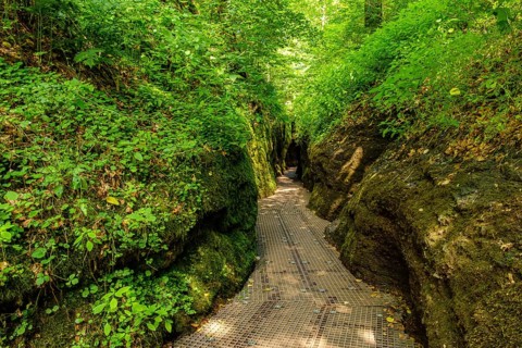 The Dragon Gorge, a gorge and geological natural monument and nature reserve in the Marienschlucht
