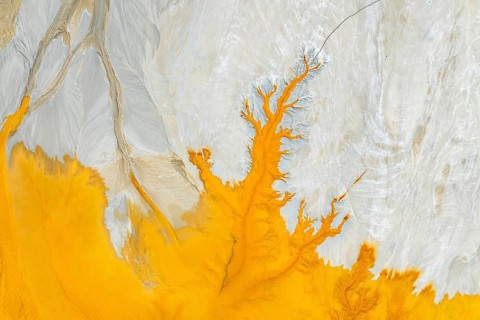 A striking fractal pattern of vibrant mud creates a mesmerizing visual. The intricate details