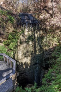 Waters of the highest waterfall in Florida fall into a deep sinkhole at Falling Waters State Park