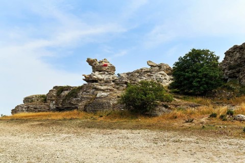 Cliff made of reef limestone, coastline, distinctive rock formation, Raukar, limestone column,