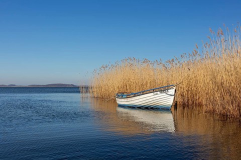 Rowing boat, rowboat along reed bed near Warthe, Rankwitz at the Lieper Winkel on the island of