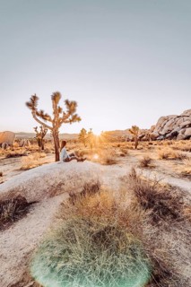 Woman at sunset in Joshua Tree National Park