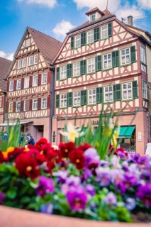 Multicolored flowers in front of charming half-timbered houses in a quiet area, Calw, Black Forest,