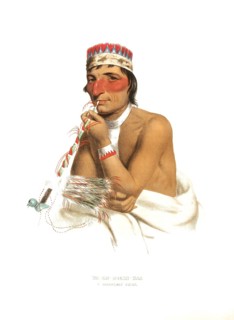 American Indian, Native American, Wa-Em-Boesh-Kaa, Chief of the Chippewa Tribe, United States of