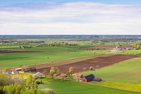Wide rural landscape with extensive green and brown agricultural fields stretching toward the