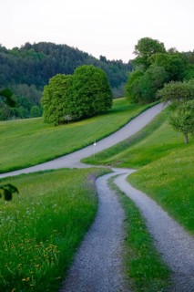 Black Forest, Landscape in May, Baden-Württemberg, Germany