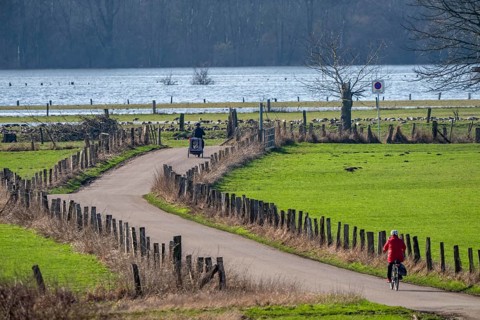 Bislicher Insel, in winter, floods in the floodplains due to Rhine flooding, nature reserve on the
