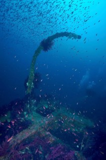Shipwreck with a shoal of small fish, Mediterranean flagfish (Anthias anthias), and coral growth,