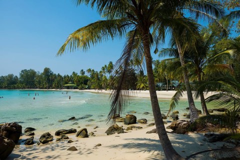 Sandy beach beach with coconut palms, Haad Khlong Hin Beach, Koh Kood, Koh Kut, Gulf of Thailand,