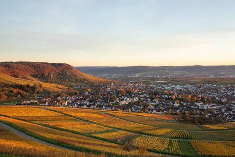 The vineyards in the Remstal near Korb in the Rems-Murr district show all their colors in autumn.