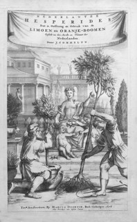Growing, cultivating and overwintering citrus fruits, copperplate engraving title page from