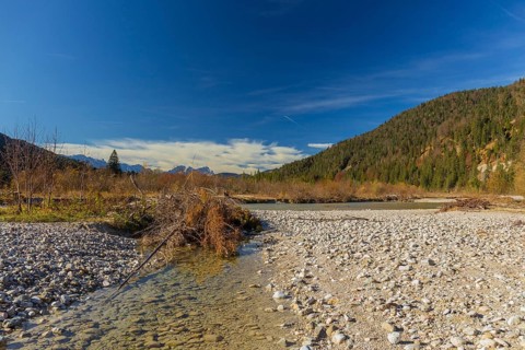 Isar valley nature conservancy area. The wild Isar river flows through its gravel bed past