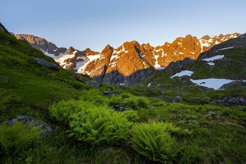 Rocky mountain peaks, landscape with ferns at Trollfjord Hytta, mountain landscape with alpenglow