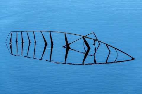Broken reed with reflection in blue water, Oberallgäu, Allgäu, Bavaria, Germany