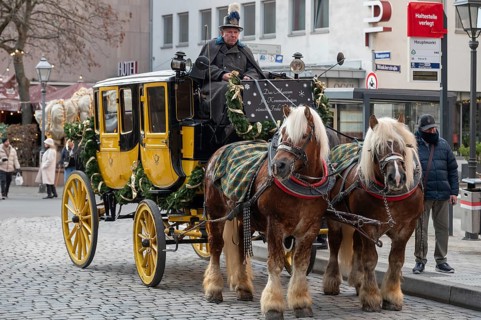Historic stagecoach with harnessed cold-blooded horses, draught horses, round trips during the