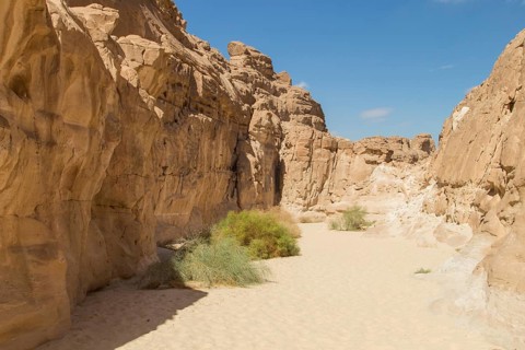 White canyon with yellow rocks, sunny day. Egypt, desert, the Sinai Peninsula, Nuweiba, Dahab