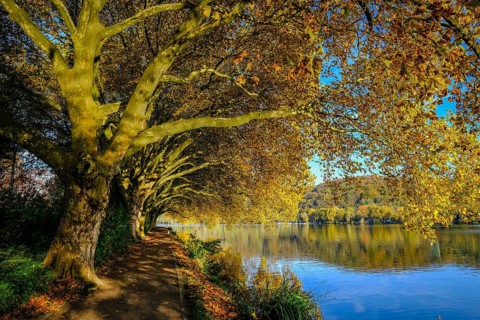 Essen, North Rhine-Westphalia, Germany - Golden autumn on Lake Baldeney