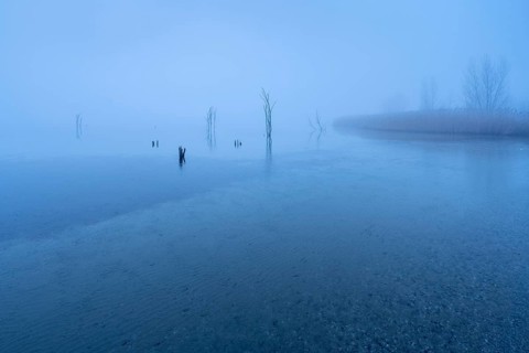 Cold evening in winter at the Geiseltalsee, bare trees and reeds protrude from the water in the